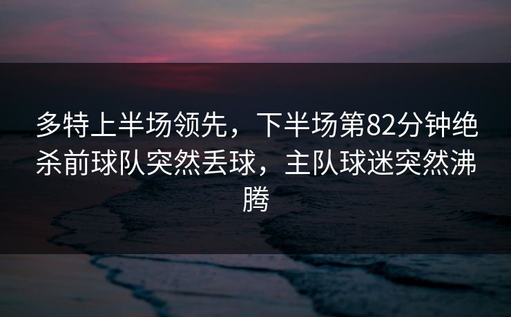 多特上半场领先，下半场第82分钟绝杀前球队突然丢球，主队球迷突然沸腾  第1张