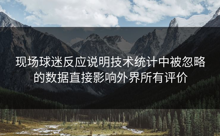 现场球迷反应说明技术统计中被忽略的数据直接影响外界所有评价  第1张