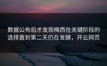 数据公布后才发现梅西在关键阶段的选择直到第二天仍在发酵，开云网页