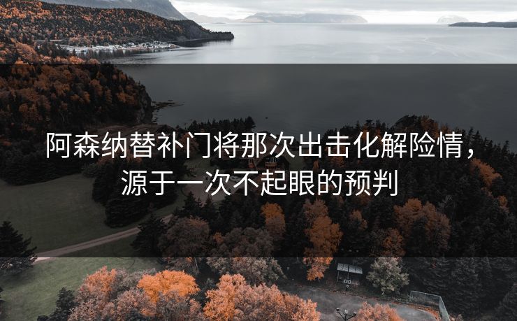 阿森纳替补门将那次出击化解险情，源于一次不起眼的预判  第1张