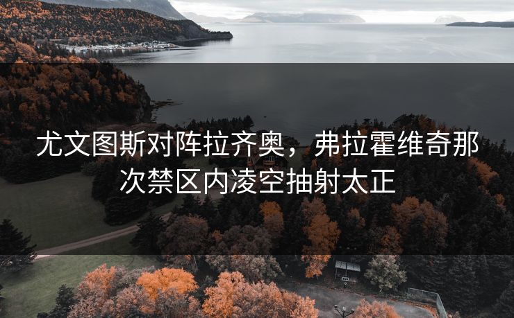 尤文图斯对阵拉齐奥，弗拉霍维奇那次禁区内凌空抽射太正  第1张