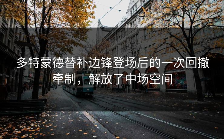 多特蒙德替补边锋登场后的一次回撤牵制,解放了中场空间 第1张 多特蒙德替补边锋登场后的一次回撤牵制,解放了中场空间 第1张