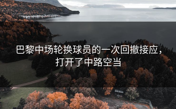 巴黎中场轮换球员的一次回撤接应，打开了中路空当  第1张